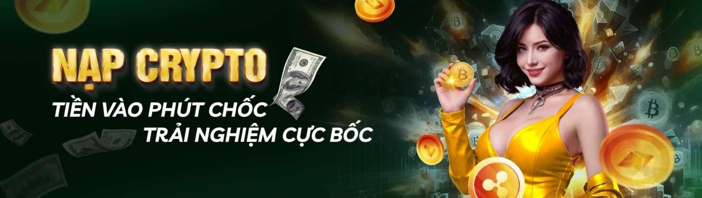 banner febet
